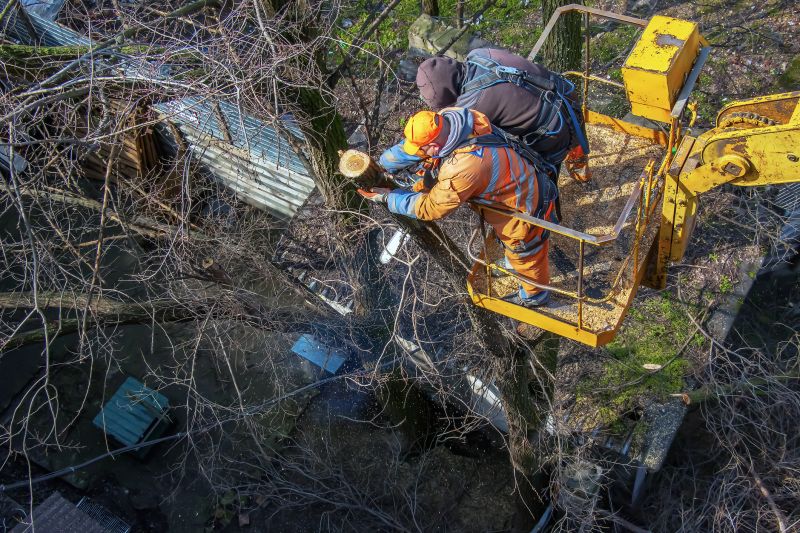 Local Road Sawing Service pros at work